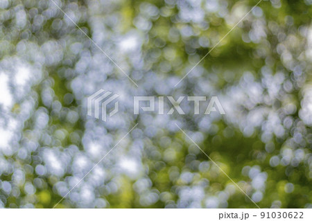 Green leaf bokeh from the sun shining through the outdoor forest. Bokeh background Green leaf bokeh from the sun shining through the outdoor forest. Bokeh background 91030622