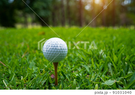 Golf ball on tee in beautiful golf course at sunset background. 91031040