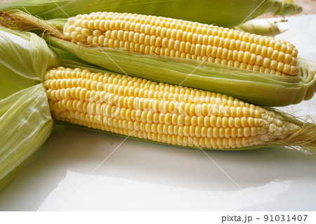 Fresh corn or maize isolated in white background. 91031407