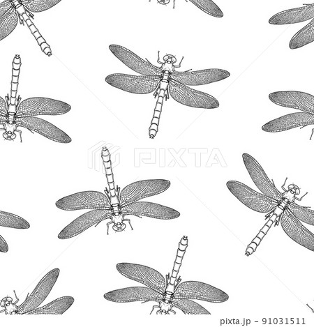 Seamless pattern of monochrome dragonfly illustration. Vector illustration template Seamless pattern of monochrome dragonfly illustration. Vector illustration template 91031511
