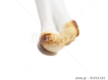 Ear wax on cotton swab isolated on white background 91032181