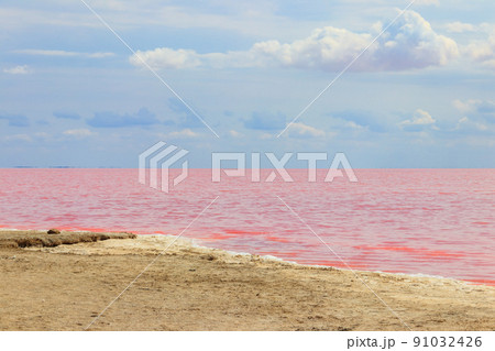 View of the pink salty Syvash lake in Kherson region, Ukraine View of the pink salty Syvash lake in Kherson region, Ukraine 91032426