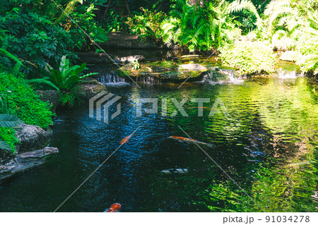 Panoramic exotic beautiful tropical deep rainforest waterfall Fresh waterfalls in deep forest Panoramic exotic beautiful tropical deep rainforest waterfall Fresh waterfalls in deep forest 91034278
