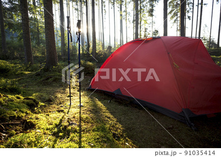 tent in the forest against the background of the rising sun 91035414