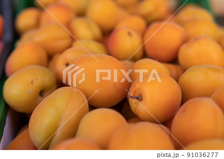 Lots of fresh apricots for sale in the market Lots of fresh apricots for sale in the market 91036277