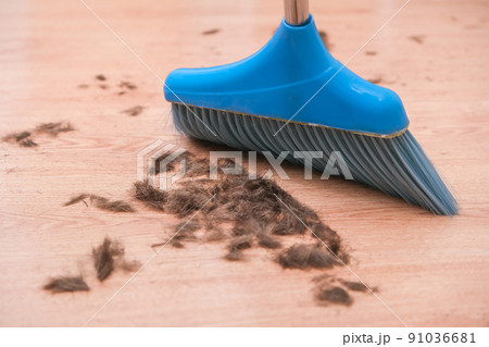 Hair after cutting on the floor. Cleaning hair Hair after cutting on the floor. Cleaning hair 91036681