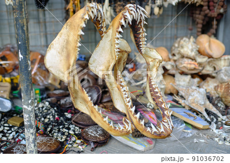 Real jaws and teeth of a shark in Asian souvenir street shop closeup photo 91036702