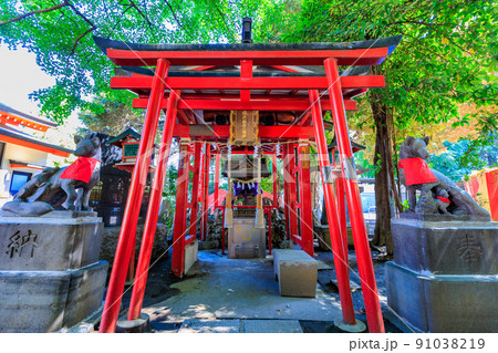 東京 新宿区 歌舞伎町の都市風景 花園神社 東京 新宿区 歌舞伎町の都市風景 花園神社 91038219