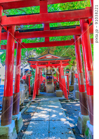 東京 新宿区 歌舞伎町の都市風景 花園神社 東京 新宿区 歌舞伎町の都市風景 花園神社 91038221