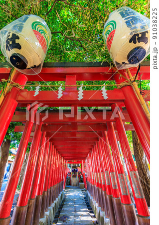 東京　新宿区　歌舞伎町の都市風景　花園神社 91038225