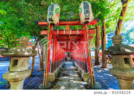 東京　新宿区　歌舞伎町の都市風景　花園神社 91038229