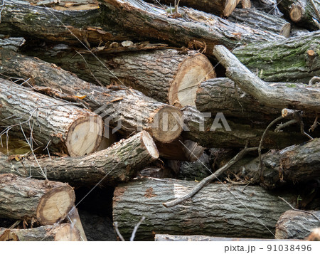 積み上げられた木。 91038496