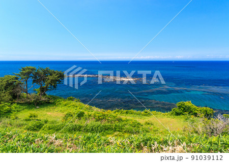 北海道伊達市、真夏のアルトリ岬からの眺め【7月】 北海道伊達市、真夏のアルトリ岬からの眺め【7月】 91039112