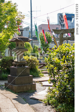 須藤公園のこいのぼり/東京都文京区 須藤公園のこいのぼり/東京都文京区 91039939