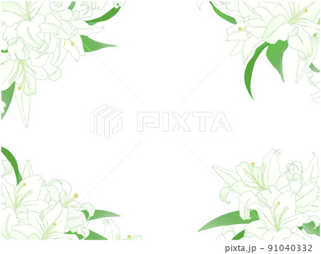 百合のフレーム④(四隅) 百合のフレーム④(四隅) 91040332