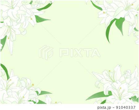 百合のフレーム④(四隅,黄緑背景) 百合のフレーム④(四隅,黄緑背景) 91040337