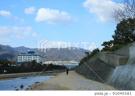日本の街中を流れる川の風景　兵庫県芦屋市芦屋川の松並木 91040381