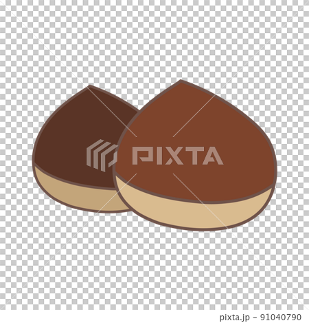 2行板栗插圖素材 91040790