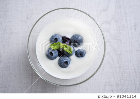 ブルーベリーヨーグルト 91041314