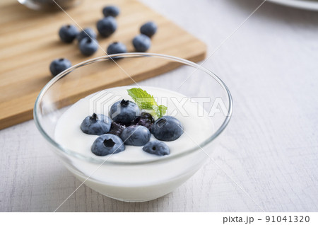ブルーベリーヨーグルト 91041320