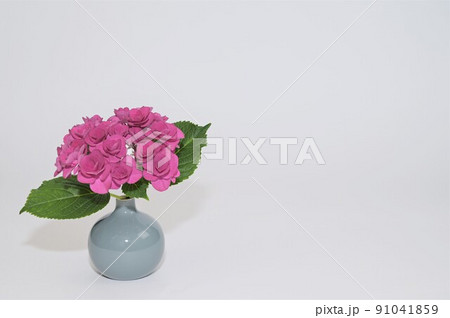 白背景を用いて撮影した花瓶に入れた紫陽花　左下配置 91041859