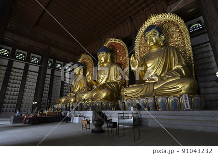 長楽寺【但馬大佛】大仏殿内部（兵庫県美方郡香美町） 91043232