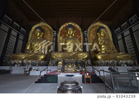 長楽寺【但馬大佛】大仏殿内部（兵庫県美方郡香美町） 91043239
