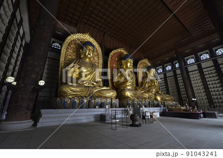 長楽寺【但馬大佛】大仏殿内部(兵庫県美方郡香美町) 長楽寺【但馬大佛】大仏殿内部(兵庫県美方郡香美町) 91043241