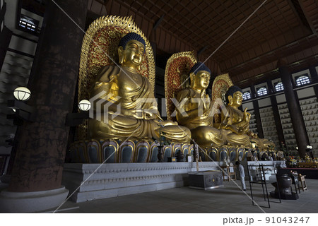 長楽寺【但馬大佛】大仏殿内部（兵庫県美方郡香美町） 91043247