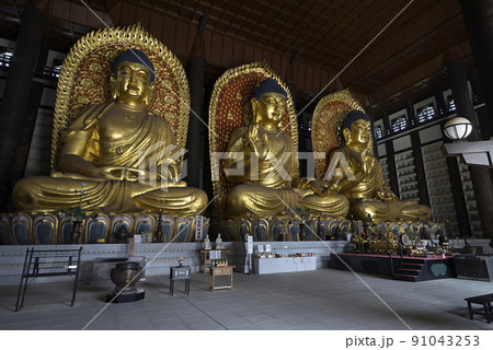 長楽寺【但馬大佛】大仏殿内部（兵庫県美方郡香美町） 91043253