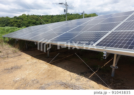 除草剤を散布し雑草が枯れた太陽光発電所 除草剤を散布し雑草が枯れた太陽光発電所 91043835