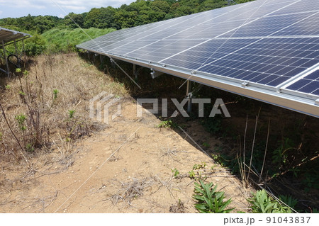 除草剤を散布し雑草が枯れた太陽光発電所 除草剤を散布し雑草が枯れた太陽光発電所 91043837