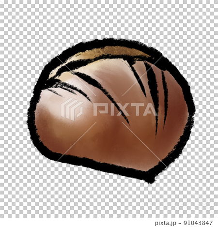 Fallen chestnuts watercolor illustration Fallen chestnuts watercolor illustration 91043847