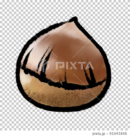Chestnut fruit brush painting style watercolor illustration Chestnut fruit brush painting style watercolor illustration 91043848