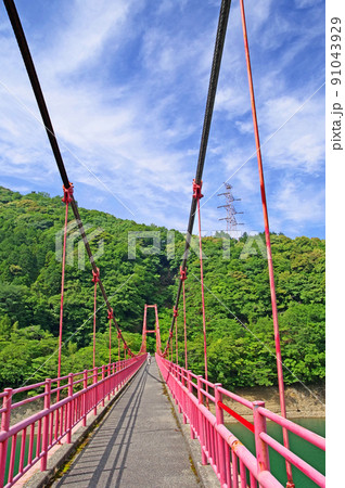 福岡県小倉南区ます渕ダム湖に架かる赤い吊り橋 91043929