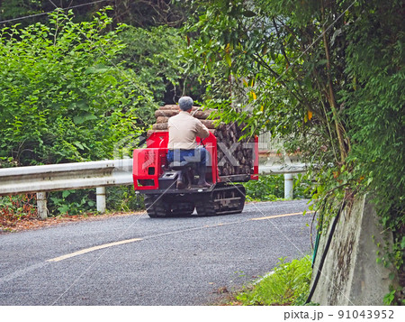 クローラ運搬車で木材を運ぶ作業をする人物 91043952