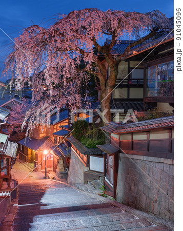 京都_産寧坂（三年坂）に咲く満開の枝垂れ桜 91045096