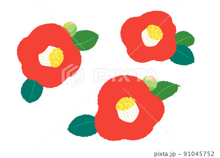 椿の花　シンプルイラスト　デザインパーツ 91045752