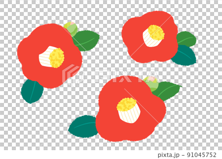 椿の花　シンプルイラスト　デザインパーツ 91045752