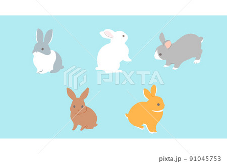 五羽のウサギ イラストセット 五羽のウサギ イラストセット 91045753