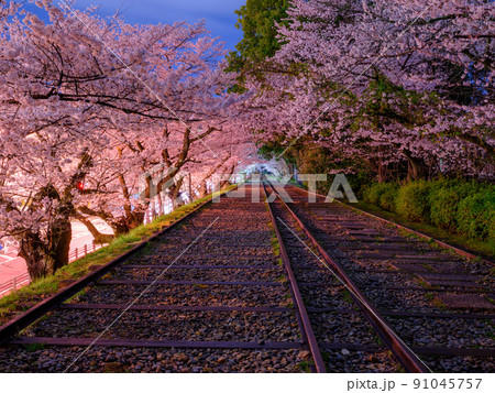 京都_蹴上インクラインと満開の桜イメージ 91045757