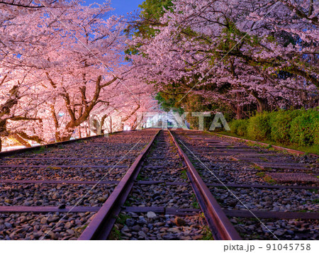 京都_蹴上インクラインと満開の桜イメージ 京都_蹴上インクラインと満開の桜イメージ 91045758