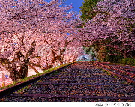 京都_蹴上インクラインと満開の桜イメージ 京都_蹴上インクラインと満開の桜イメージ 91045760