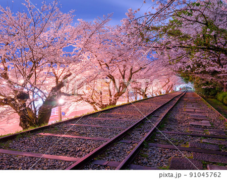 京都_蹴上インクラインと満開の桜イメージ 91045762