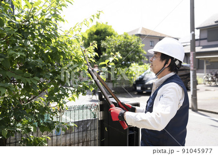庭木の枝切りをする造園業の作業員 庭木の枝切りをする造園業の作業員 91045977