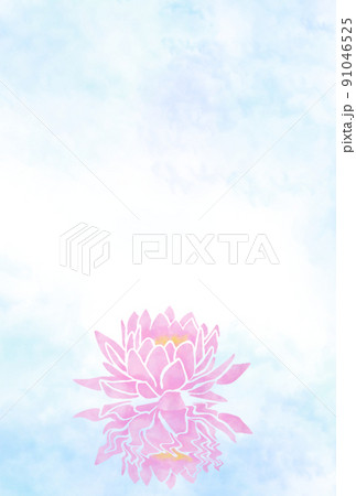 仏事用はがきハスの花 91046525