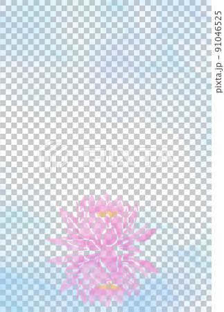 仏事用はがきハスの花 91046525