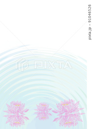 仏事用はがきハスの花三輪 91046526