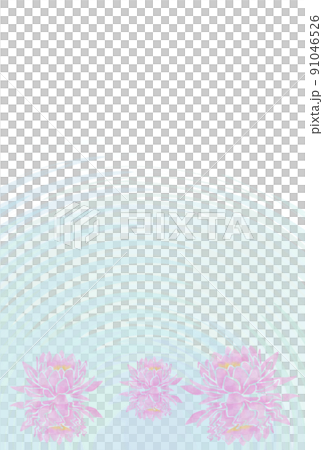 仏事用はがきハスの花三輪 91046526