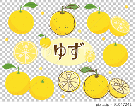 柚子をイメージしたイラストのセット 91047241